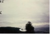 Semjase flying with her beamship around a wettertanne (weather pine) about 14 m. high (this tree was later eliminated by Semjase). In the background the Pfaffikersee is visible. 9 July 1975.