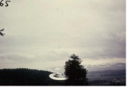 #65.[32] Semjase flying with her beamship around a wettertanne (weather pine) 14m height (the tree later eliminated by Semjase). Pfaffikersee in background. 9th July 1975.