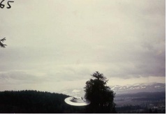 Semjase flying with her beamship around a wettertanne (weather pine) 14m height (the tree later eliminated by Semjase). Pfaffikersee in background. 9th July 1975.