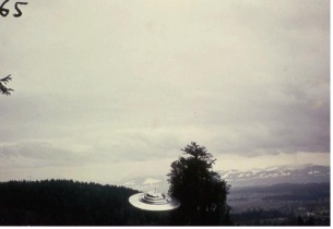 #65.[66] Semjase flying with her beamship around a wettertanne (weather pine) 14m height (the tree later eliminated by Semjase). Pfaffikersee in background. 9th July 1975.