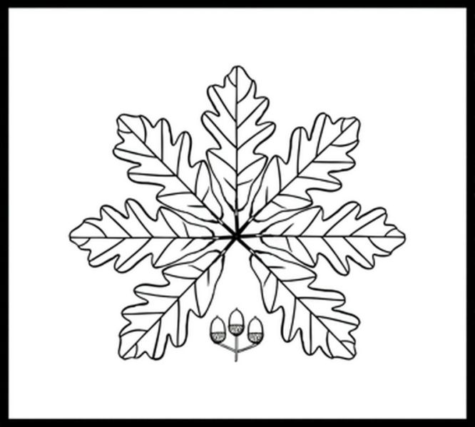 File:CR905 Image12.jpg