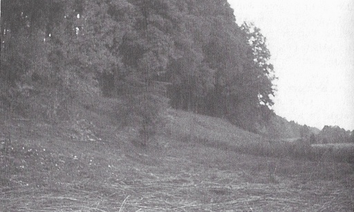 At a later date Semjase eliminated a 5 m fir tree, which was followed by a small beech bush (both clearly visible in the middle of the picture). (Photo: "Billy" Eduard Albert Meier)