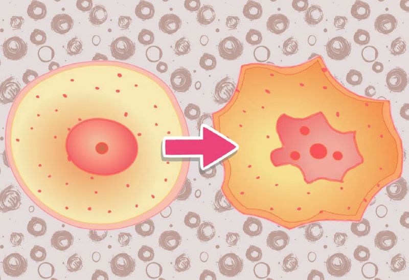 File:SESOTT192 Image9.jpg