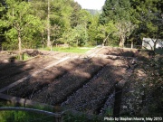 The FIGU garden at the SSSC.