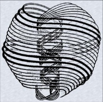 The double spiral structure of the Creation.[268]