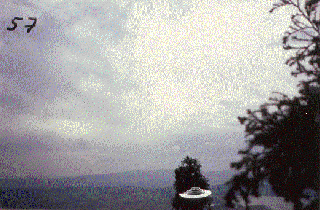 #57.[64] Semjase flying with her beamship around a wettertanne (weather pine) 14m height (the tree later eliminated by Semjase). Pfaffikersee in background. 9th July 1975.