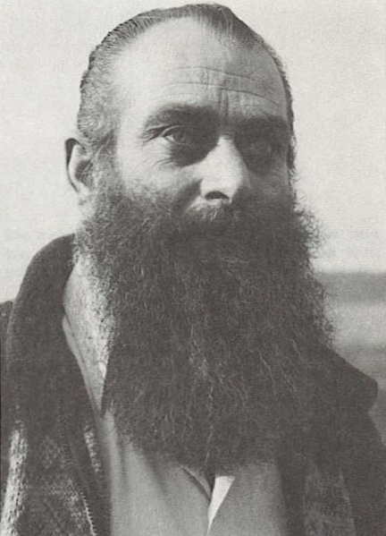 File:Wendelle Stevens Pleiadian Message Illustration 022.jpg