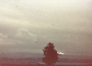 #69.[36] Semjase flying with her beamship around a wettertanne (weather pine) 14m height (the tree later eliminated by Semjase). Pfaffikersee in background. 9th July 1975.