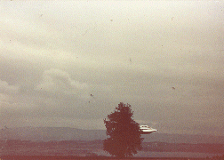 #69.[34] Semjase flying with her beamship around a wettertanne (weather pine) 14m height (the tree later eliminated by Semjase). Pfaffikersee in background. 9th July 1975.