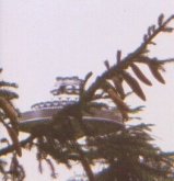 The "wedding-cake" ship sitting on a second ship approx 40 meters from the ground. See Analysis of the Wedding Cake UFO by Rhal Zahi[28]