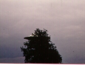 #76.[36] Semjase flying with her beamship around a wettertanne (weather pine) 14m height (the tree later eliminated by Semjase). Pfaffikersee in background. 9th July 1975.