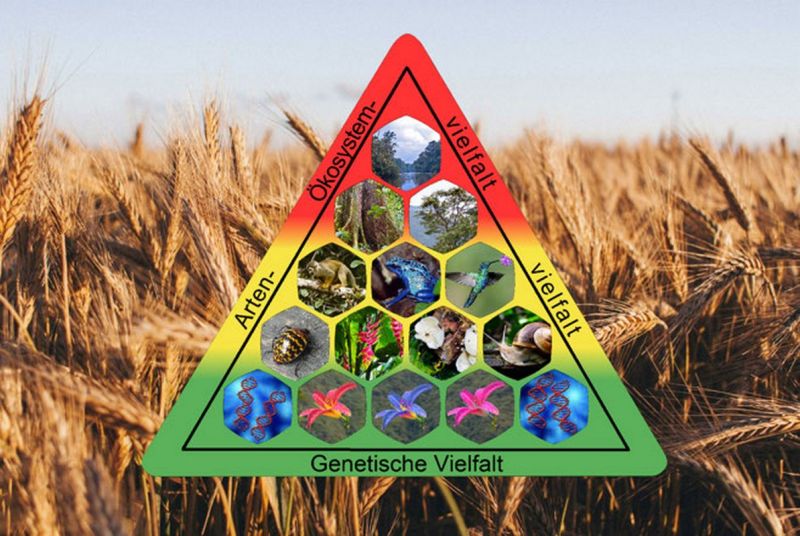 File:SESOTT197 Image19.jpg