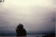 #71.[36] Semjase flying with her beamship around a wettertanne (weather pine) 14m height (the tree later eliminated by Semjase). Pfaffikersee in background. 9th July 1975.