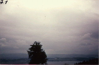 #71.[69] Semjase flying with her beamship around a wettertanne (weather pine) 14m height (the tree later eliminated by Semjase). Pfaffikersee in background. 9th July 1975.